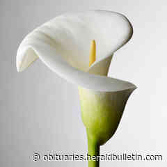 Stefanie St. Clair Harper | Obituary | Herald Bulletin - The Herald Bulletin