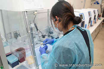 Hawaii records 4 new coronavirus-related deaths, 532 additional infections - Honolulu Star-Advertiser