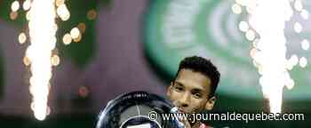 Un tournoi «presque parfait»