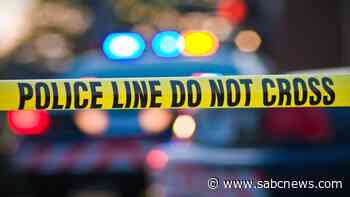 Eastern Cape ANC shocked by attempted murder of Nelson Mandela Bay Municipality branch leader - SABC News