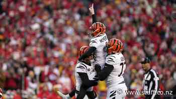 Super Bowl: Bengals fan Justin Nelson dreaming of rags-to-riches title win - Stuff.co.nz