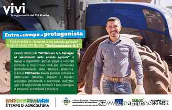 Bando PSR Marche Sottomisura 4.1. Il 10 febbraio a Cagli il seminario di presentazione - Marche Notizie