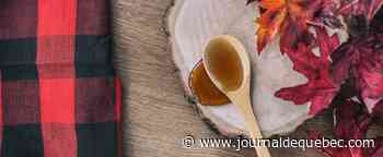 Le grand retour des cabanes à sucre