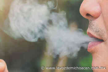 Estudio: 95% de niños en hogares libres de humo presentan rastros de nicotina en las manos - La Voz de Michoacán