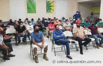 Acuerdan en Coahuayana buenos precios libres al productor de plátano - Quadratín Colima