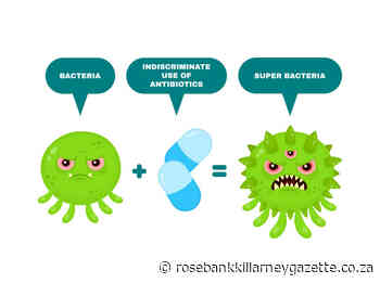 Why probiotics are good for your child's health - Rosebank Killarney Gazette