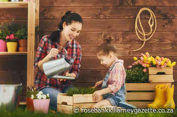 Gardening 101: Get your child excited about gardening - Rosebank Killarney Gazette
