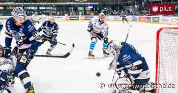 Mit überragendem Goalie Nemec feiern Lindau Islanders den Heimsieg - Schwäbische