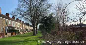 What life is like living right next to one of Grimsby's worst roads for speeding - Grimsby Live