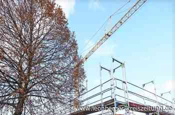 Reden zum Haushalt 2022 - Gemeinderäte blicken auf Hemmingen - Leonberger Kreiszeitung