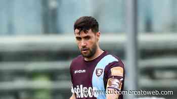 Bari, Pucino: "Penalizzati dalla sosta. Ma aprite social o televideo e guardate la classifica" - TUTTO mercato WEB