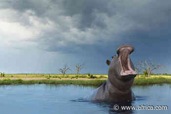 The Rainy Season in Botswana's Okavango Delta - Africa.com