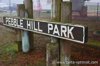 Pebble Hill residents prefer tennis over pickleball - Delta-Optimist