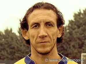 UFFICIALE. Al Sassoferrato Genga si cambia: panchina a Tito Perini - marcheingol.it