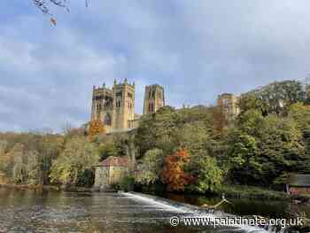 Diversifying Durham: a half step in the right direction - Palatinate