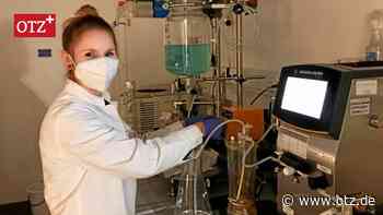 Jenaer Smart-Dye-Livery GmbH: Nanopartikel transportiert Wirkstoff exakt zur kranken Zelle