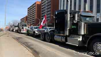 Noisy anti-restrictions protests in Edmonton make it hard to navigate streets, visually impaired nurse says