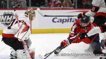 Tkachuk, Brown lead Senators past Capitals 4-1 - Lethbridge News Now