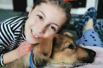 Sidcup girl, 9, raising £50,000 for homeless dogs