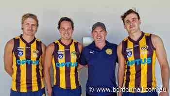 Wangaratta Rovers pick up Lukas Webb, Mackenzie Bristow and Ben Timms - The Border Mail
