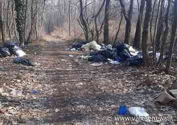 Delle sbarre protettive per i boschi di Samarate: l'idea del M5S - varesenews.it