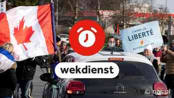 Wekdienst 14/2: 'Vrijheidskonvooi' wil naar Brussel • Hoger beroep Thijs H. - NOS