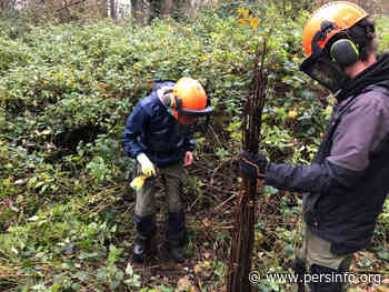 Coovi en CVO-Brussel helpen mee aan de biodiversiteit Vogelveld - Persinfo.org