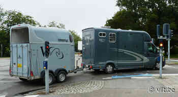 Brussel scherpt voorwaarden voor vervoer landbouwhuisdieren aan | VILT vzw - Vilt