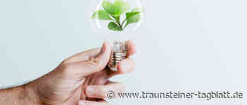 Eine Stunde lang Dunkelheit in Traunstein – Stadt beteiligt sich an »Earth Hour« - Traunsteiner Tagblatt