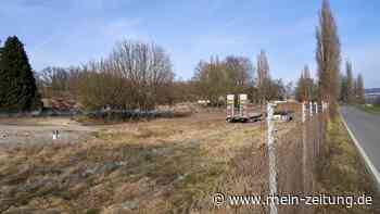 Große Nachfrage: Viele Firmen wollen sich am Bubenheimer Berg ansiedeln - Rhein-Zeitung