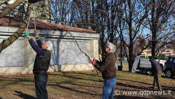 Conegliano, gli alpini di Parè all'opera per le scuole del quartiere: lavori di pulizia e risistemazione all'elementare Rodari e all'asilo Tofano - Qdpnews