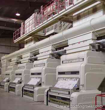 NCGA Honors Go to Breedlove, Stover, Sutton - Cotton Grower