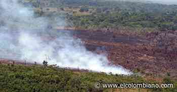 El fuego arrasó con parte de la vegetación de La Macarena - El Colombiano
