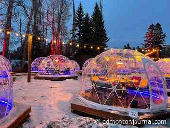 Some lovely activities in Edmonton to do on Valentine's Day - Edmonton Journal