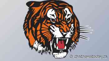 Multi-goal lead vanishes for Tigers in home ice loss to Edmonton - CHAT News Today