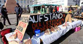 Lebensmittel-Rettungsaktion in Karlsruhe: Gruppe verschenkt Essen auf dem Marktplatz - BNN - Badische Neueste Nachrichten