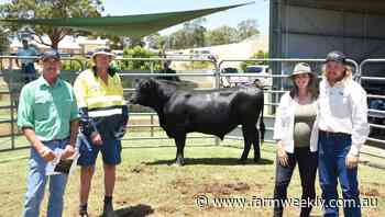 Ardcairnie Angus sells to top of $17500 - Farm Weekly