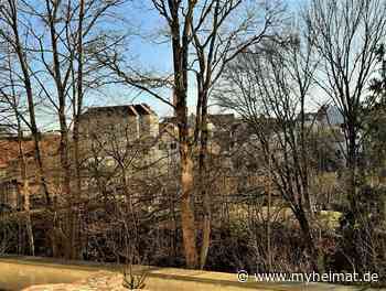 Augsburg International eV lud interessierte Mitglieder zur Führung ins Wittelsbacher Schloss in Friedberg ein - Friedberg - myheimat.de
