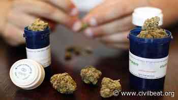 Medical Marijuana In Hawaii Still Conflicts With Federal Law - Honolulu Civil Beat