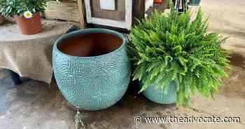 LSU Garden News: When you're buying a gift for a gardener, there are loads of options - The Advocate