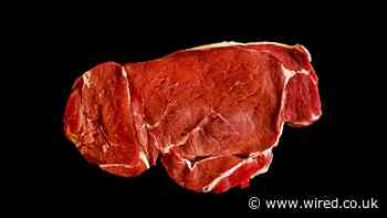 This Startup Is Trying to Make Juicy Steaks Out of Thin Air