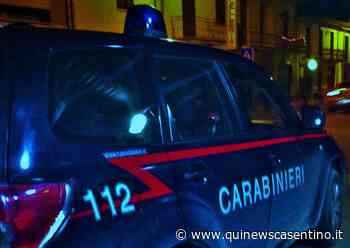 Alla guida dopo aver bevuto e senza patente - Casentino