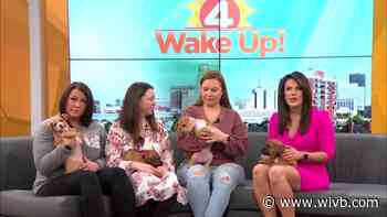 Helping Trixie and her puppies with the second annual Puppy Shower