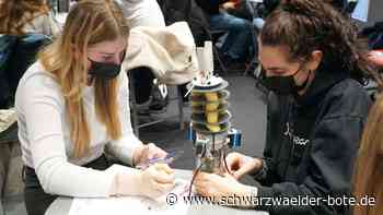 MINT-Aktion in Nagold: Mehr als nur  langweilige Computerarbeit