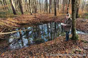 Jagd auf den Wolf um Bamberg: Die alten Wolfsgruben im Wald bei Memmelsdorf - Fränkischer Tag