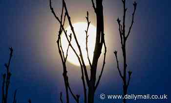 Full Snow Moon set to light up the skies on Wednesday evening 