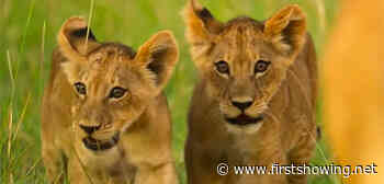 Netflix's 'Surviving Paradise: A Family Tale' Africa Nature Doc Trailer