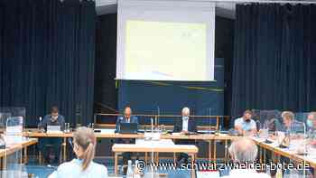 70.000 Euro für Bad Herrenalb: Diskussion um "Albtal Plus" und Mitgliedsbeiträge geht weiter