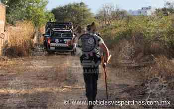 [VIDEO] Encuentran cadáver semienterrado en baldío de Lomas del Molino - Noticias Vespertinas