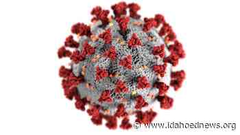 Coronavirus case numbers slow — across Idaho and in schools - Idaho EdNews